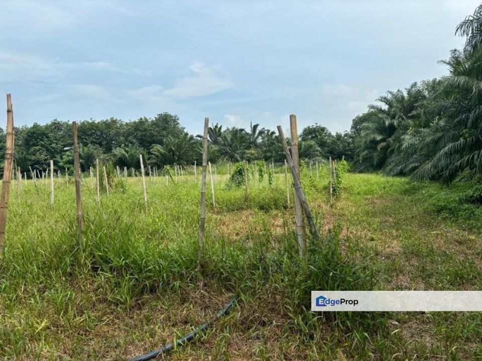 Industrial Land Telok Panglima Garang, Selangor, Telok Panglima Garang