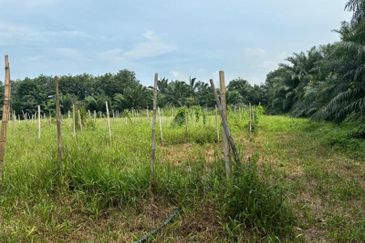 Telok Panglima Garang Industrial Zone