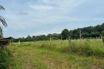 Telok Panglima Garang Industrial Zone