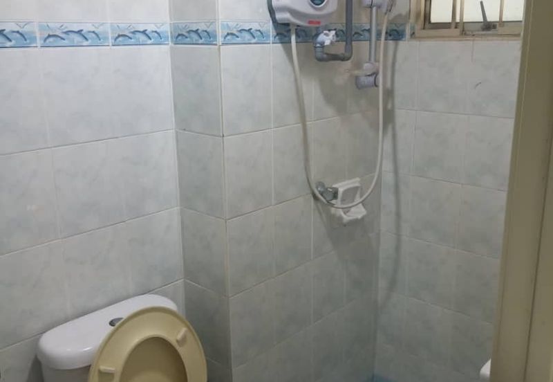 Aliran Damai, Bandar Damai Perdana