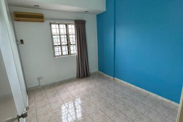 Evergreen Park Acorn and Hazel