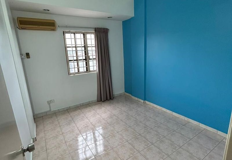 Evergreen Park Acorn and Hazel