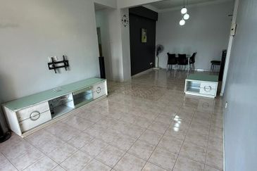 Evergreen Park Acorn and Hazel