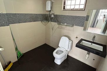 Evergreen Park Acorn and Hazel