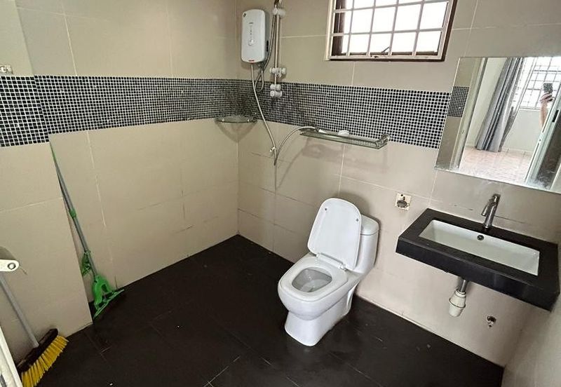 Evergreen Park Acorn and Hazel