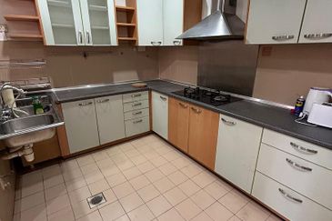 Evergreen Park Acorn and Hazel