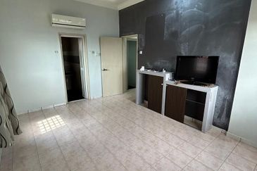 Evergreen Park Acorn and Hazel