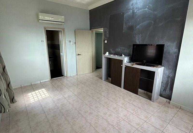 Evergreen Park Acorn and Hazel