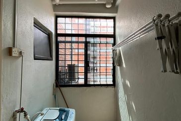 Evergreen Park Acorn and Hazel