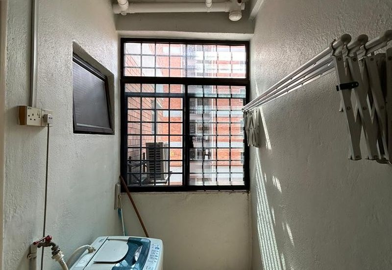 Evergreen Park Acorn and Hazel