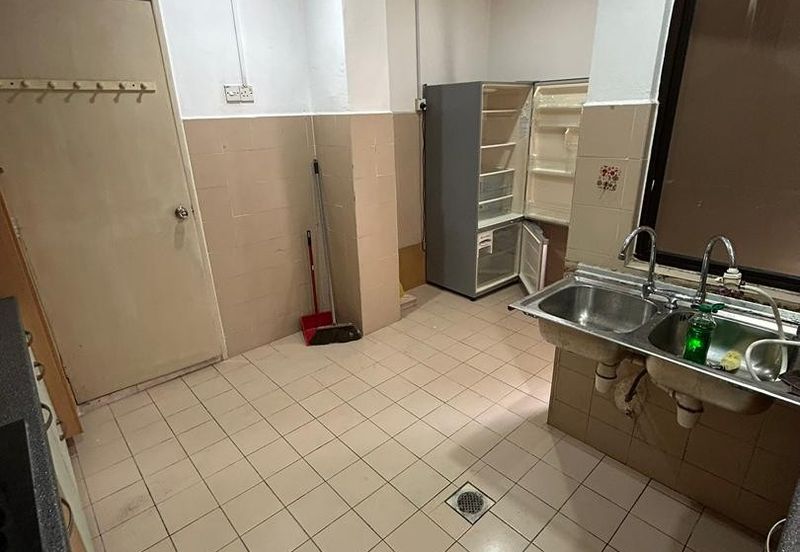 Evergreen Park Acorn and Hazel