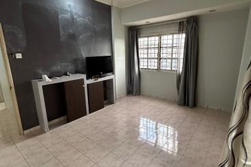 Evergreen Park Acorn and Hazel