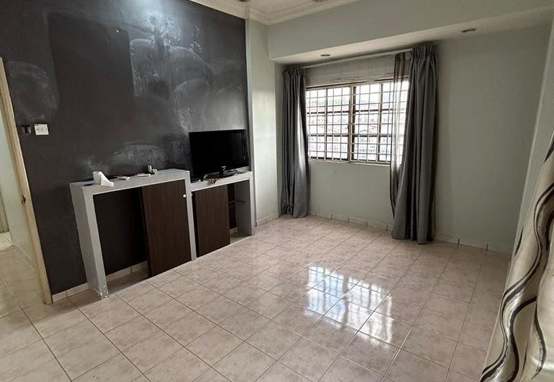 Evergreen Park Acorn and Hazel