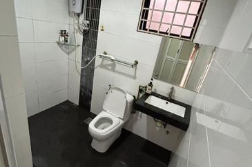 Evergreen Park Acorn and Hazel