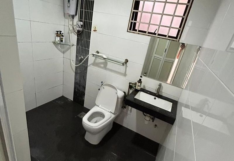 Evergreen Park Acorn and Hazel