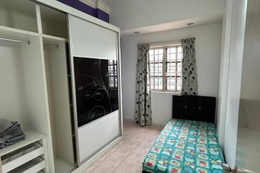 Evergreen Park Acorn and Hazel