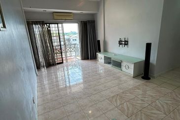 Evergreen Park Acorn and Hazel