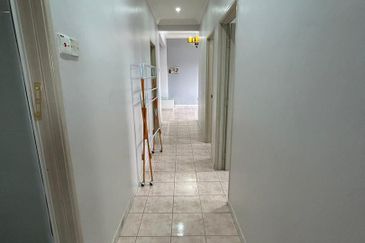 Evergreen Park Acorn and Hazel