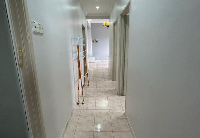 Evergreen Park Acorn and Hazel