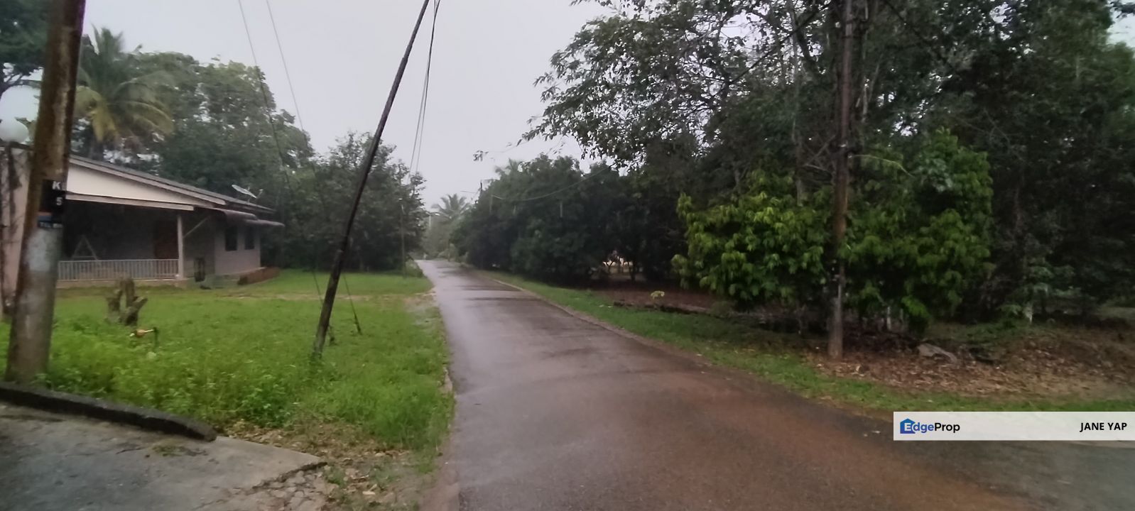  猫山王榴莲园 Musang King Durian Farm at Slim River Tg Malim Muallim, Perak, Tanjung Malim