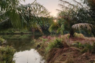 Land For Sale Residential Zoning U15 Shah Alam Bandar Puncak Alam