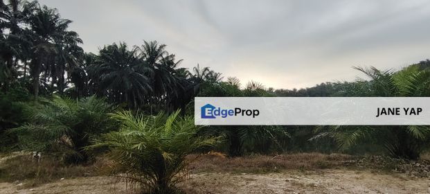 Land For Sale Residential Zoning U15 Shah Alam Bandar Puncak Alam, Selangor, Shah Alam