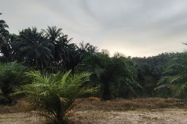 Land For Sale Residential Zoning U15 Shah Alam Bandar Puncak Alam