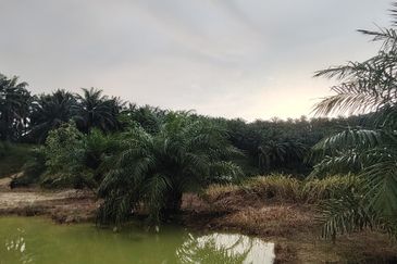 Flat Zone Residential Land For Sale Bandar Puncak Alam Shah Alam 