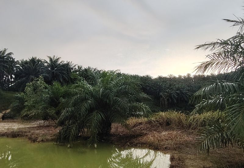 Flat Zone Residential Land For Sale Bandar Puncak Alam Shah Alam 