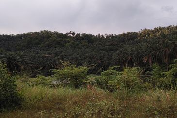 Flat Zone Residential Land For Sale Bandar Puncak Alam Shah Alam 