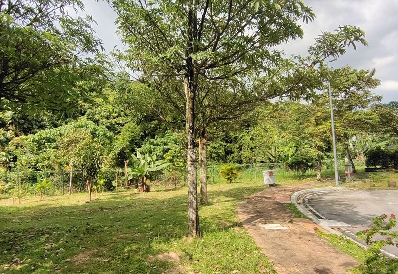 Seksyen 11, Kota Damansara