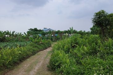 Selangor Klang Johan Setia Agricultural Land For Sale