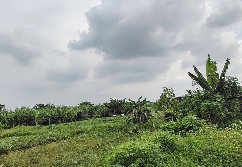 Residential Zoning Agricultural Land For Sale