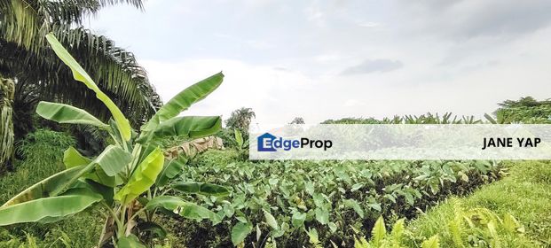 Residential Zoning Land For Sale, Selangor, Klang