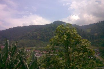 Selesa Hillhomes @ Bukit Tinggi