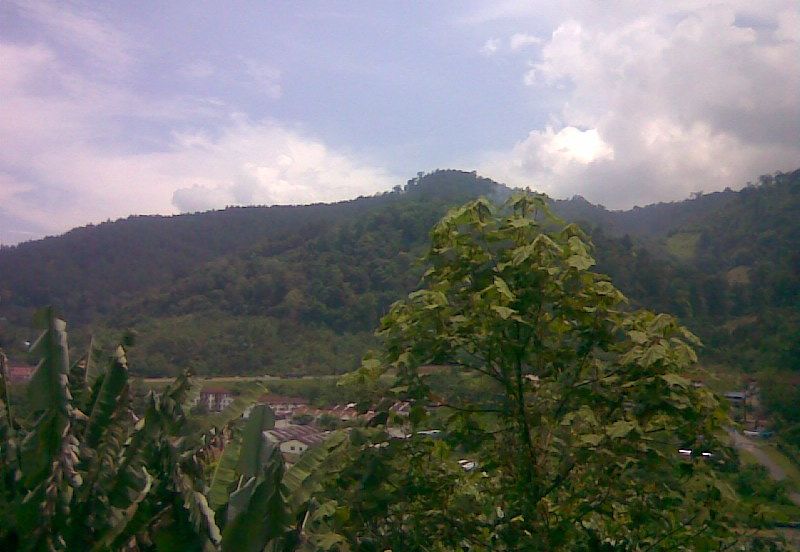 Selesa Hillhomes @ Bukit Tinggi