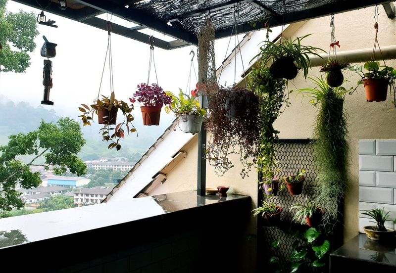 Selesa Hillhomes @ Bukit Tinggi