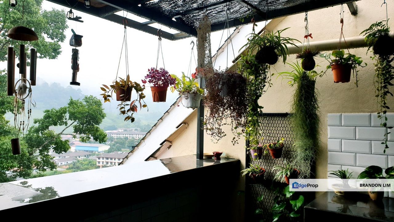 Selesa Hillhomes Bukit Tinggi Bentong BIG UNIQUE Studio, Pahang, Bentong