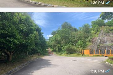 Melaka agriculture land 