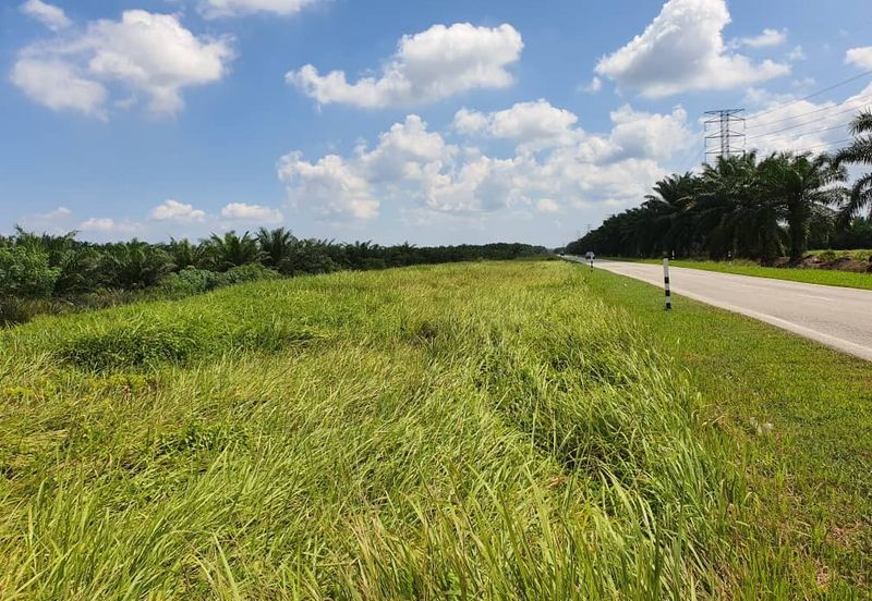 5 acres oil palm land for sale @ Kuala Selangor 