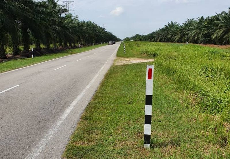 5 acres oil palm land for sale @ Kuala Selangor 