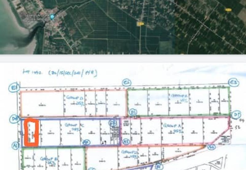 Ijok, Api-Api kuala Selangor oil palm plantation for dale