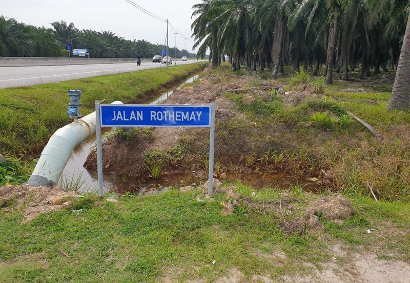 Ijok, Api-Api kuala Selangor oil palm plantation for dale