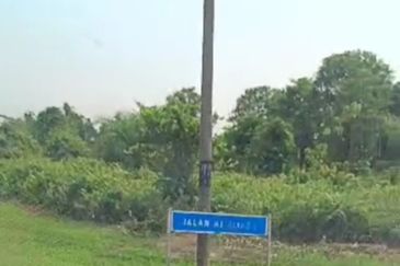 Kuala Selangor Api Api agricultural land 