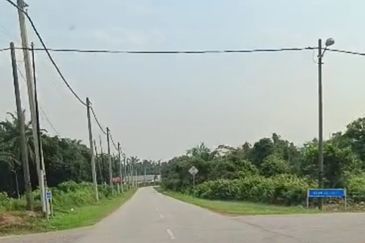 Kuala Selangor Api Api agricultural land 