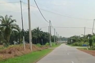 Kuala Selangor Api Api agricultural land 