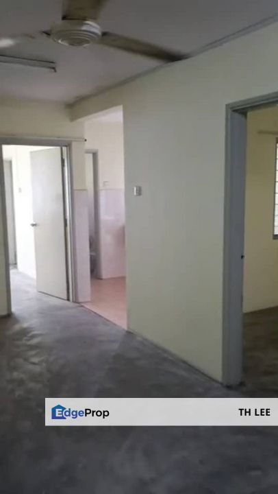 Pelangi Ara Bandar Utama , Selangor, Kayu Ara