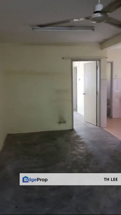 Pelangi Ara Bandar Utama , Selangor, Kayu Ara