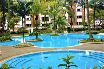 Evergreen Park Cypress