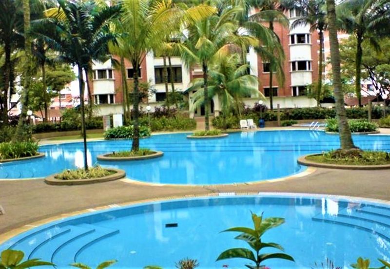 Evergreen Park Cypress